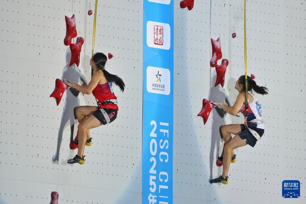 msn, 新华社记者 msn, 新华社记者